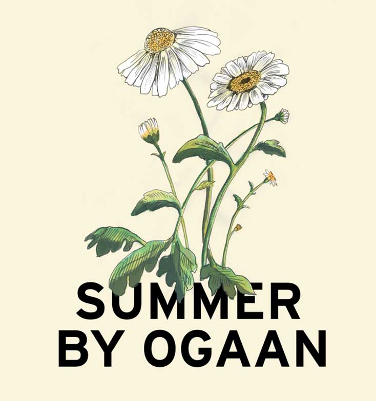 CHRYSANTHEMUM BLEND LAUNCH AT SUMMER BY OGAAN