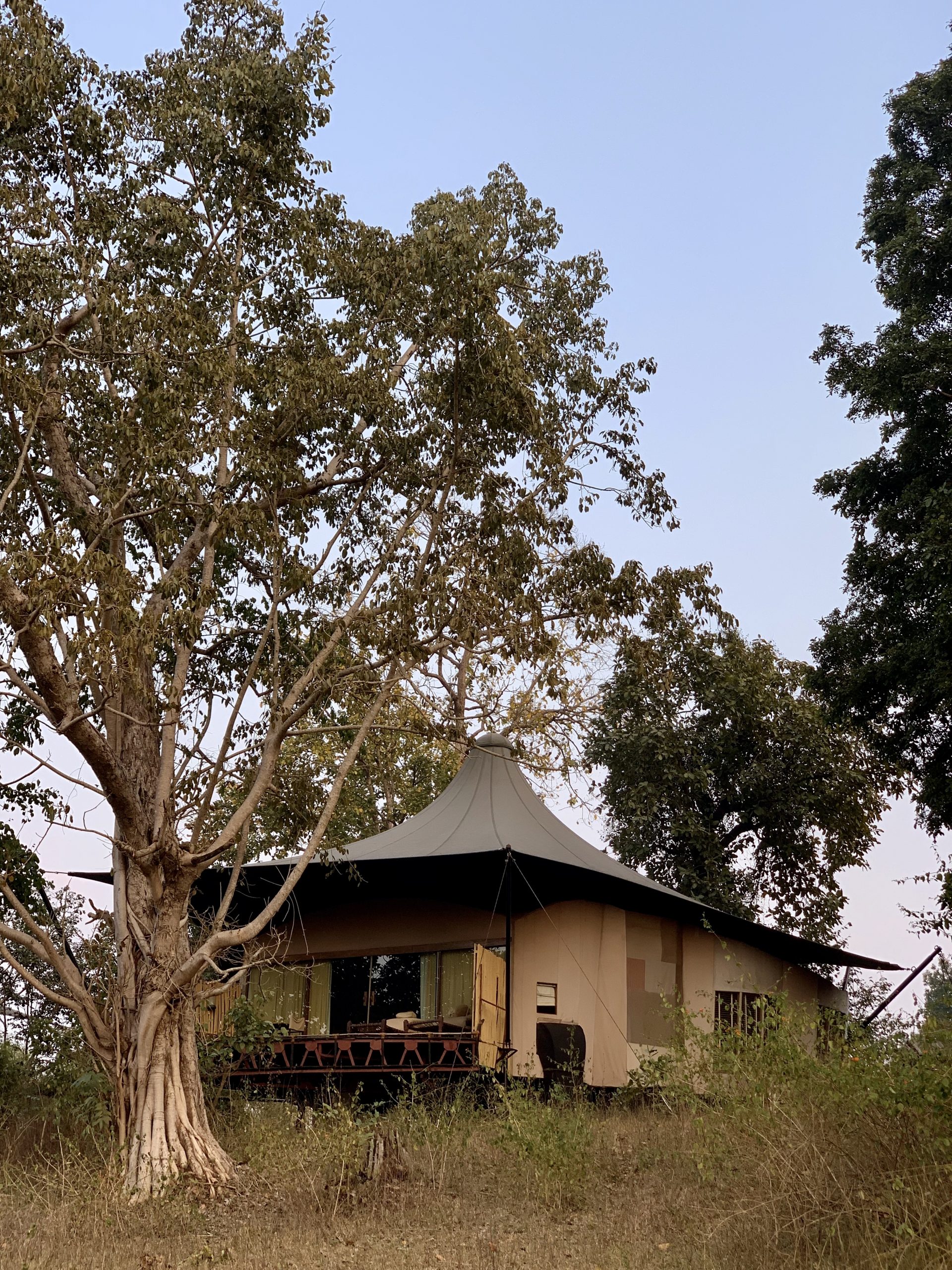 Banjaar Tola, A Taj safari, Kanha National Park